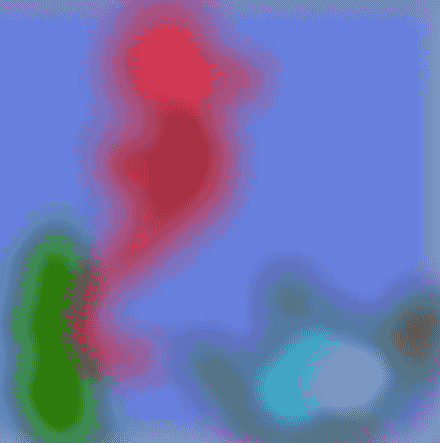 Mercredi ! Les animaux marins