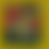 Une Autre Ecole De Vienne