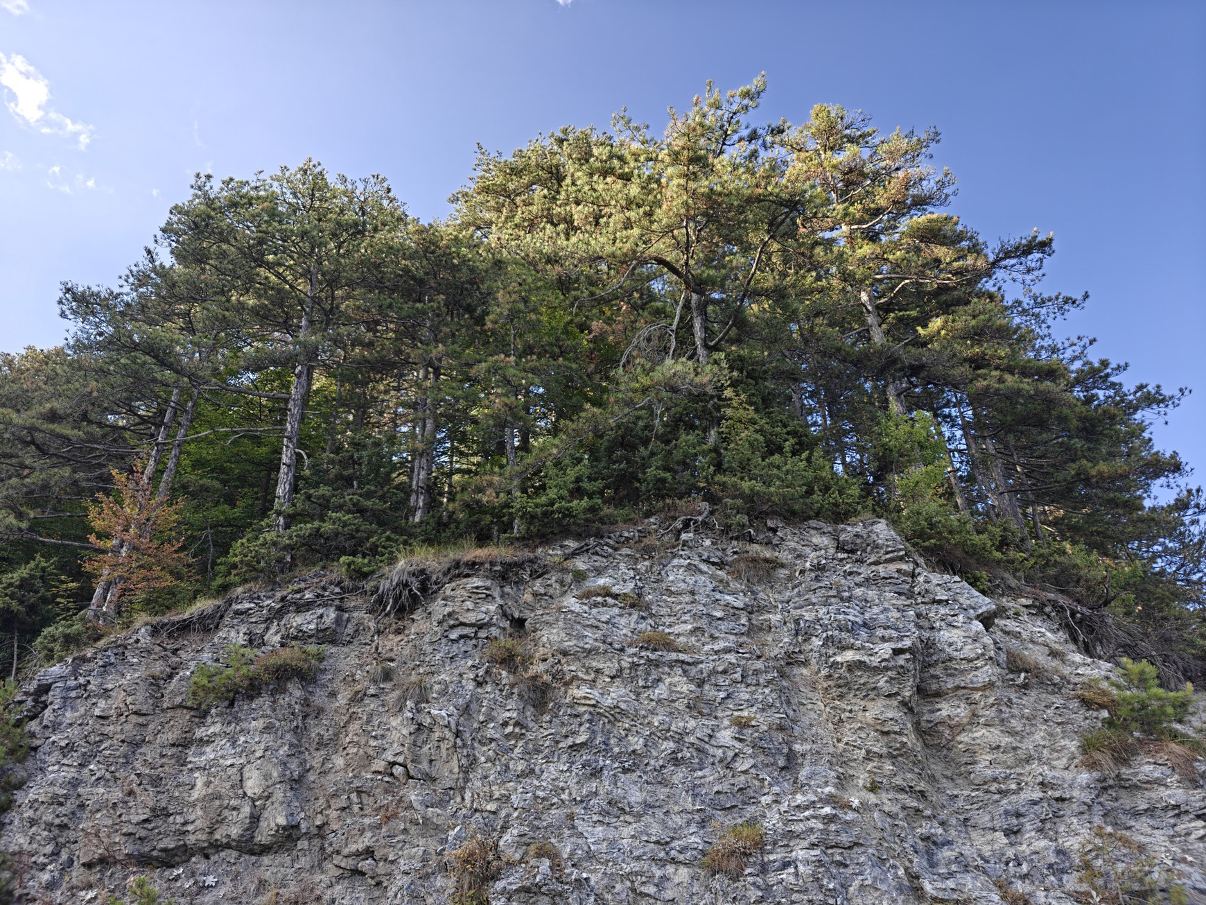 Une forêt du Mont Olympe en Grèce Dans les montagnes européennes, le tourisme passe au bas carbone