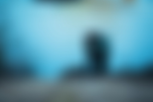 Extérieur Nuit : UN WALTZ, DEUX RUFFALO