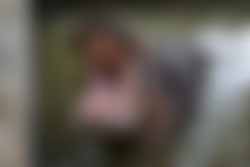 Chablis Hebdo - Chablis Hippopotame