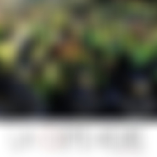 La demi-heure : Les gilets jaunes nous font chier...