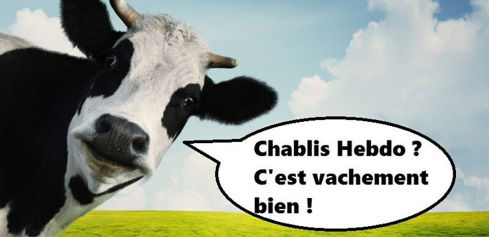 Épisode Chablis Hebdo // Stop aux hublots de l'émission Chablis Hebdo