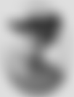 Les Hommes de l'Ombre : Nettie Stevens