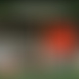 Premières pages #19 : Le rouge et le noir