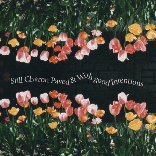 Épisode Yummy de l'émission Yummy