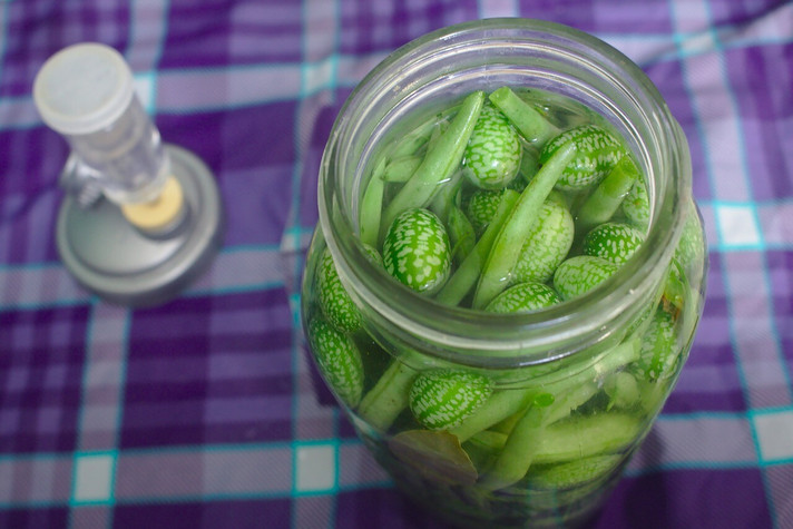 Épisode Alimentaire mon cher Watson : la fermentation de l'émission Alimentaire Mon Cher Watson