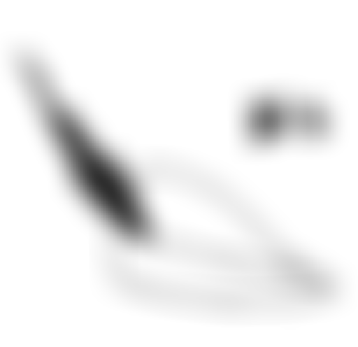 ORNC : Robin des bois, Prince des voleurs, 1991