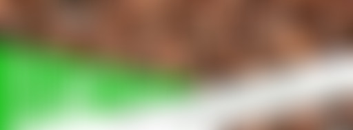 Têtes de Vainqueurs - Les Supporters