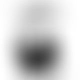 Lions Milk #113- Franck Descollonges de Heavenly S...