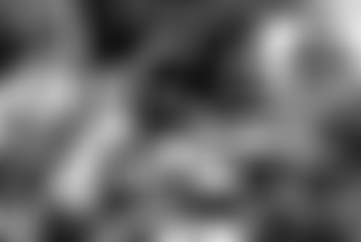 BaBa ZuLa live du Babel Med 2016