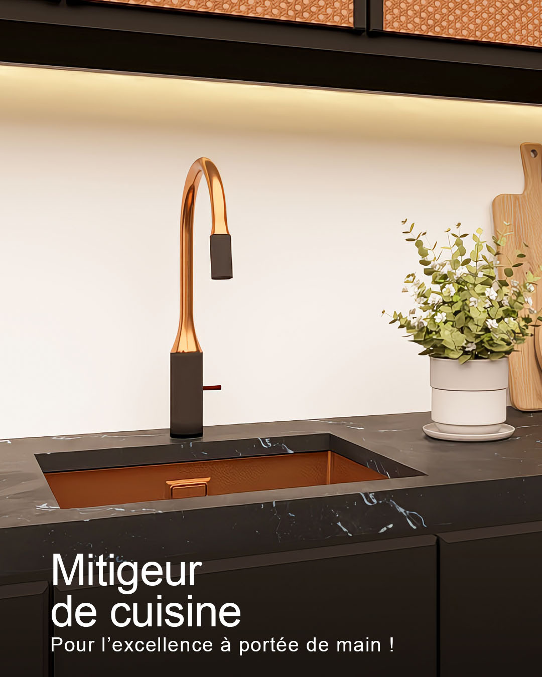 Découvrez le nouveau mitigeur Wasserwerk® RC701 ✨ !

Pensé pour allier esthétique et fonctionnalité...