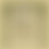 Bam Salute Show : Roots Attack