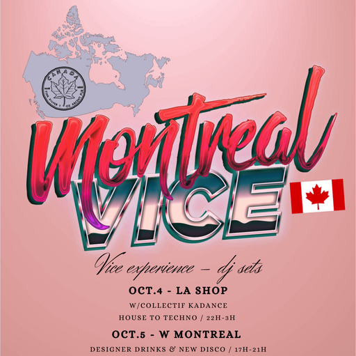 DJ Vice Experience presents...Electrorama #16