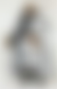 Les Hommes de l'Ombre : Jacques de Molay