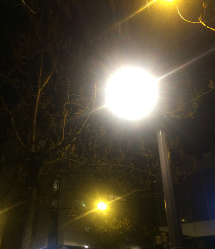 Épisode # 7 - La Nouvelle Bouquinerie // Le Territoire de... de l'émission Culture