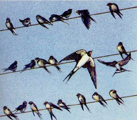 Elle enfile des perles // ancienne émission