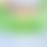 FUN TUHGS # Carte Blanche - Festival MILIEUX