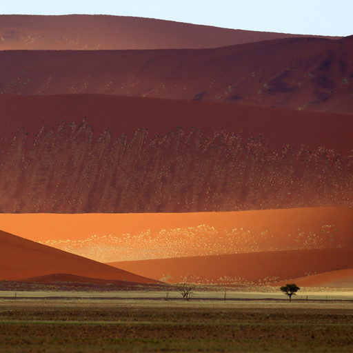 Amplimondes : Déserts