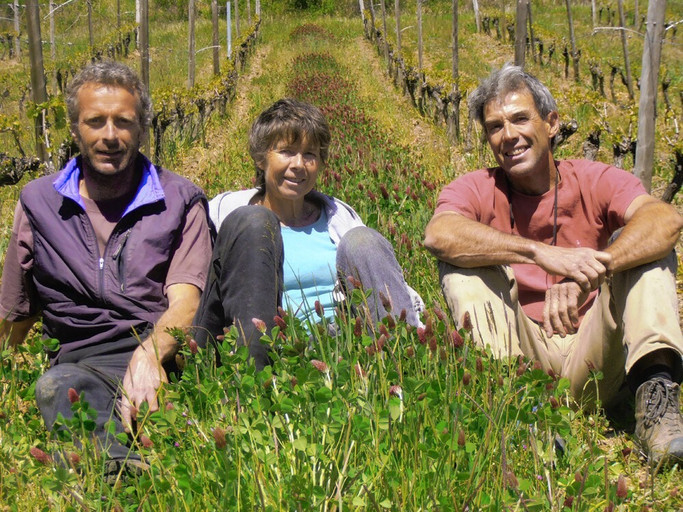 Épisode LCSLT : 21.12.18 // Le crémant, ça vous Die ? de l'émission Les coudes sur la table