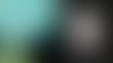 Novorama - spéciale Trans Musicales / Bars En Tran...