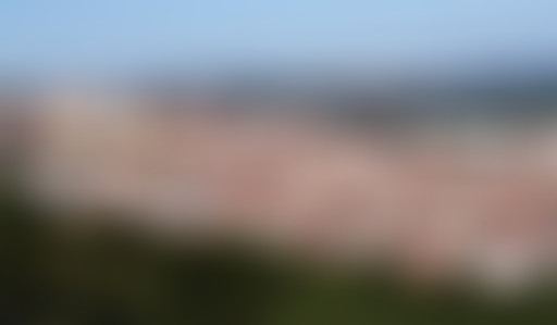 Mappemonde : Lyon