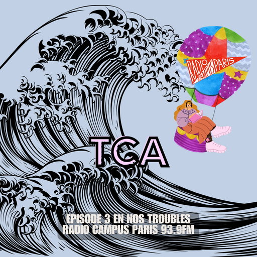 Épisode En nos troubles #3 : TCA de l'émission En nos troubles