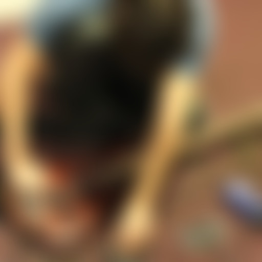 Planisphère : 05 - a-kura