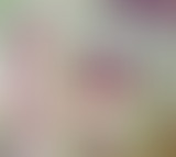 MICHEL MAGNE FAIT SON CINEMA (Part. 2)