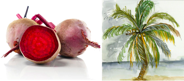 Épisode 37°2 / Nathalie, le "Talysman", le gnome et la vie de l'émission Trente-sept Deux