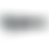 Bam Salute special Studio One