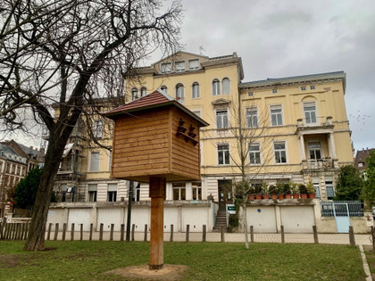 Pigeonniers contraceptifs : la méthode douce choisie par Strasbourg pour réguler les pigeons