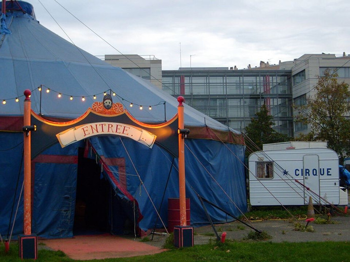 Épisode on va s'envoler dans les arènes comme un oiseau no... de l'émission On veut du solide