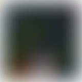 Secrets Livrés #14 : Le Silence des Agneaux et le...