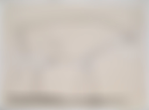 Museum side : Lignes de vies & Calder - Picasso