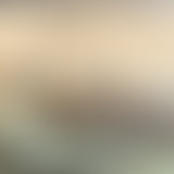 Mercredi ! Perle et le caillou magique