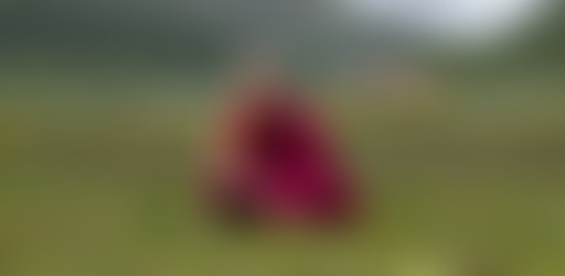 La Puce à l’Oreille veut méditer // 6 novembre 201...