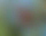 Planisphère : 13 – Musiques acousmatiques