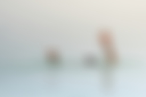 Planisphère : 40 – Le 2020 des ami·e·s de Planisph...