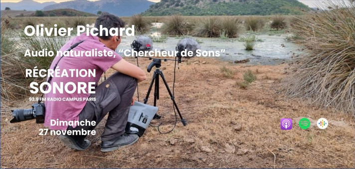 Épisode Récréation Sonore : Olivier Pichard, audio natural... de l'émission Récréation sonore