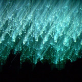 Amplitudes : Dub & Ambient Techno