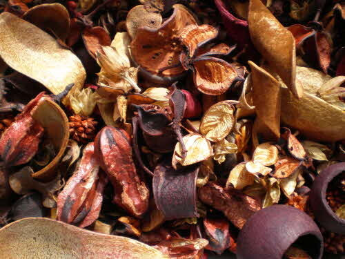 Épisode Recreation sonore : Pot-pourri de l'émission Récréation sonore