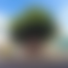 Récréation sonore : Cultivons notre jardin // 15.0...