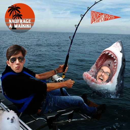 Épisode Naufrage à Waikiki s03e04 de l'émission Naufrage à Waikiki