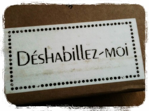 Épisode Déshabillez-moi! Le langage de l'émission Déshabillez-Moi