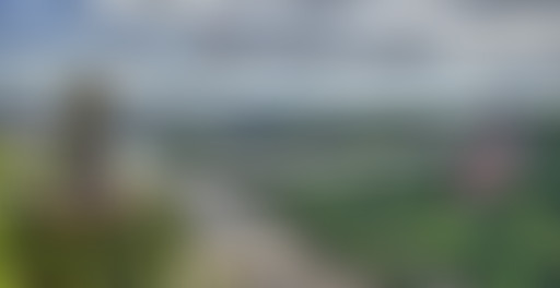 Mappemonde : Bristol