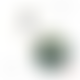 MUSIQUES HYBRIDES : LE ZOUK