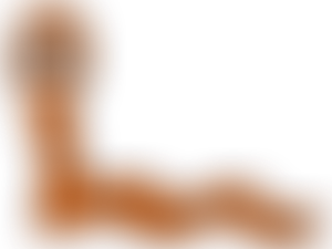 Petites Consultations entre Amis : Episode 5