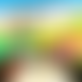 Temps qu'à faire / L'émission des étudiant.e.s de...