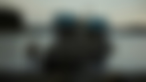 Profession Documentariste / Alessandra Celesia